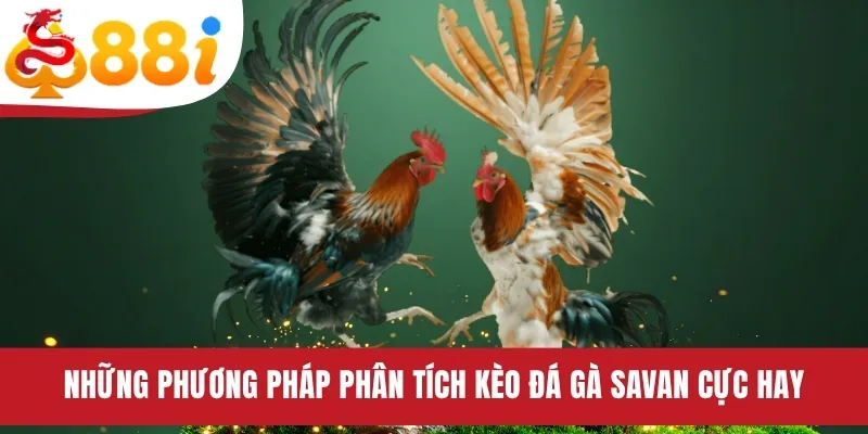 Những phương pháp phân tích kèo đá gà Savan cực hay