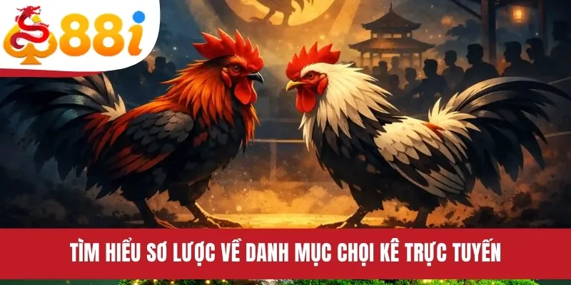 Tìm hiểu sơ lược về danh mục chọi kê trực tuyến