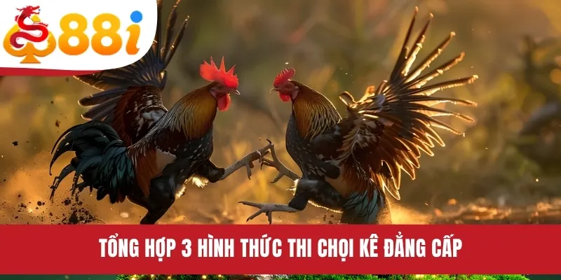 Tổng hợp 3 hình thức thi chọi kê đẳng cấp